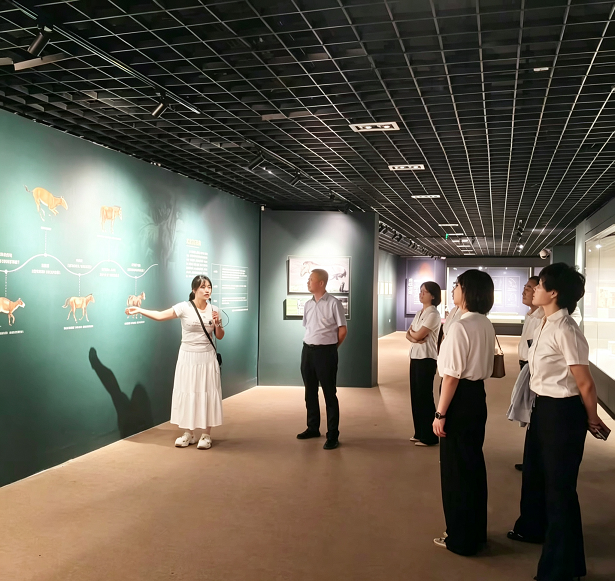 传承蒙古马精神 笃行实干守初...