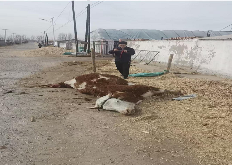 1771979082873462.png 图片5.png