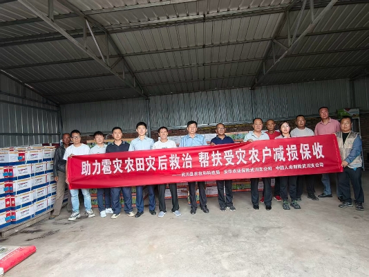 1788649948561247.png 图片1.png