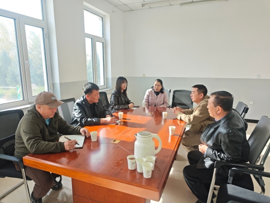 图片13.png